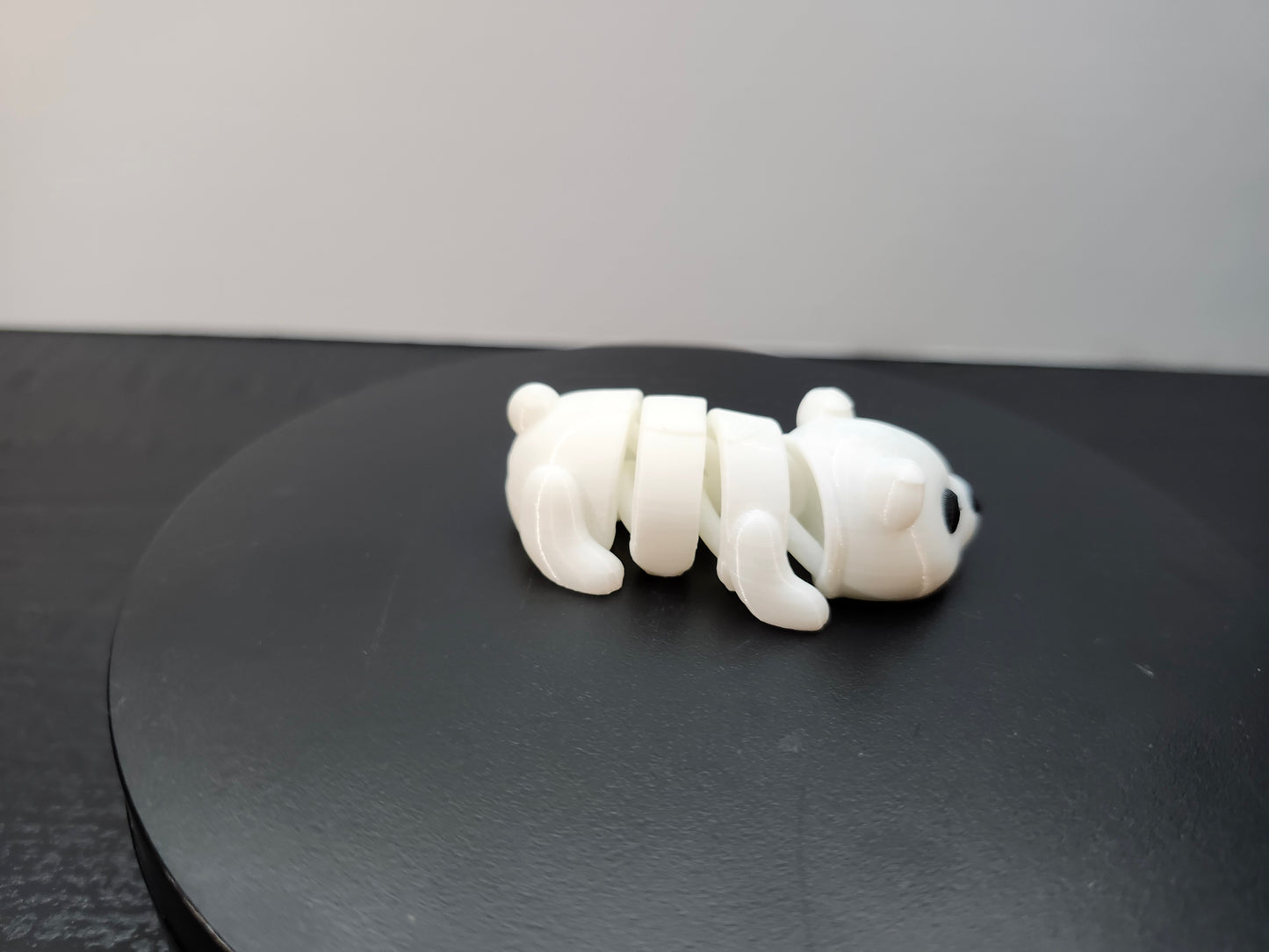 Polar Bear