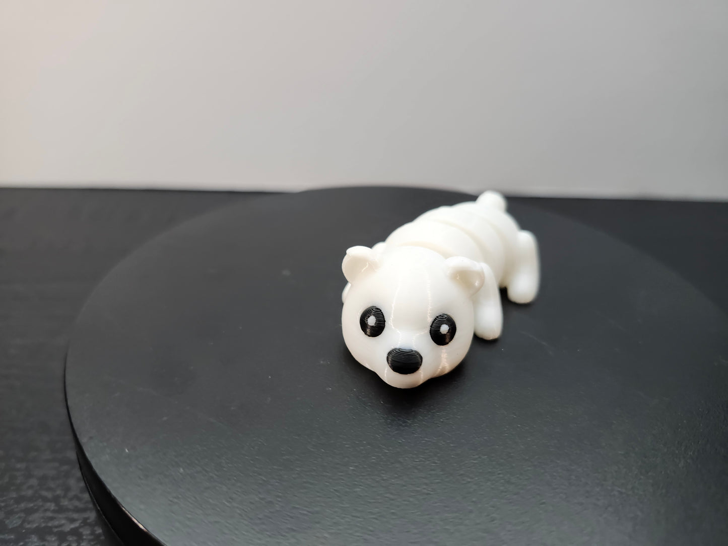 Polar Bear