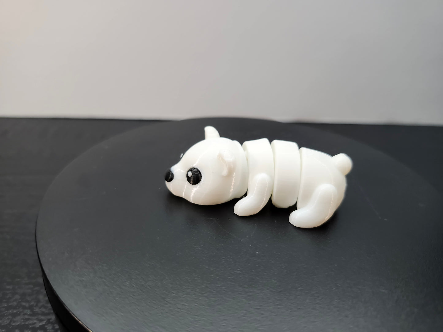Polar Bear