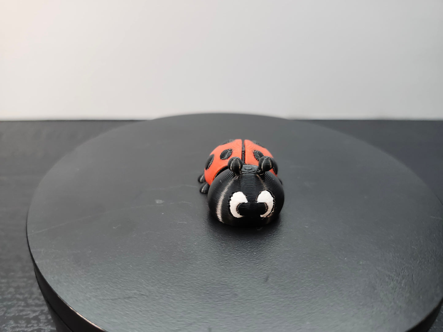Lady Bug