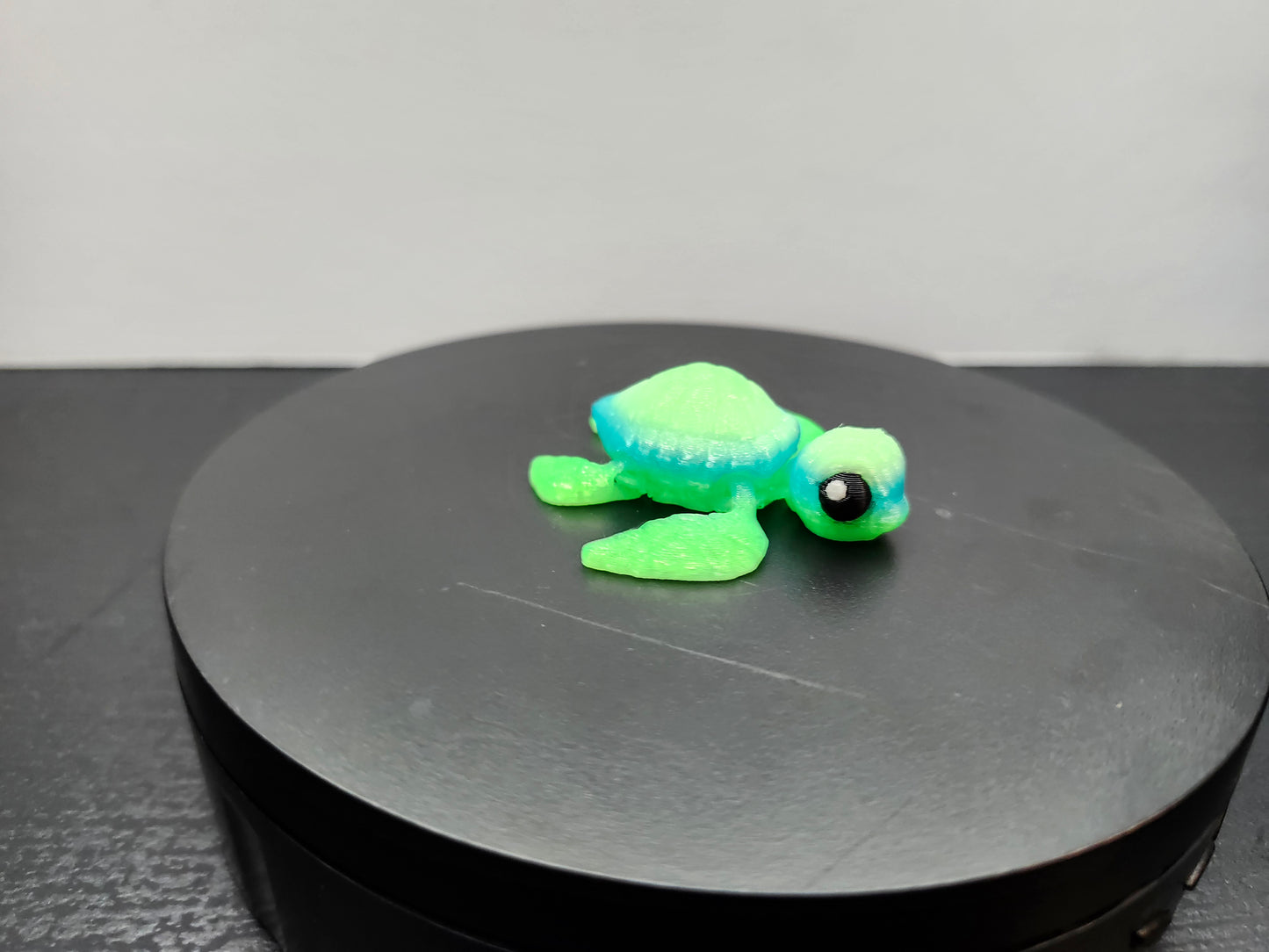 Sea Turtle