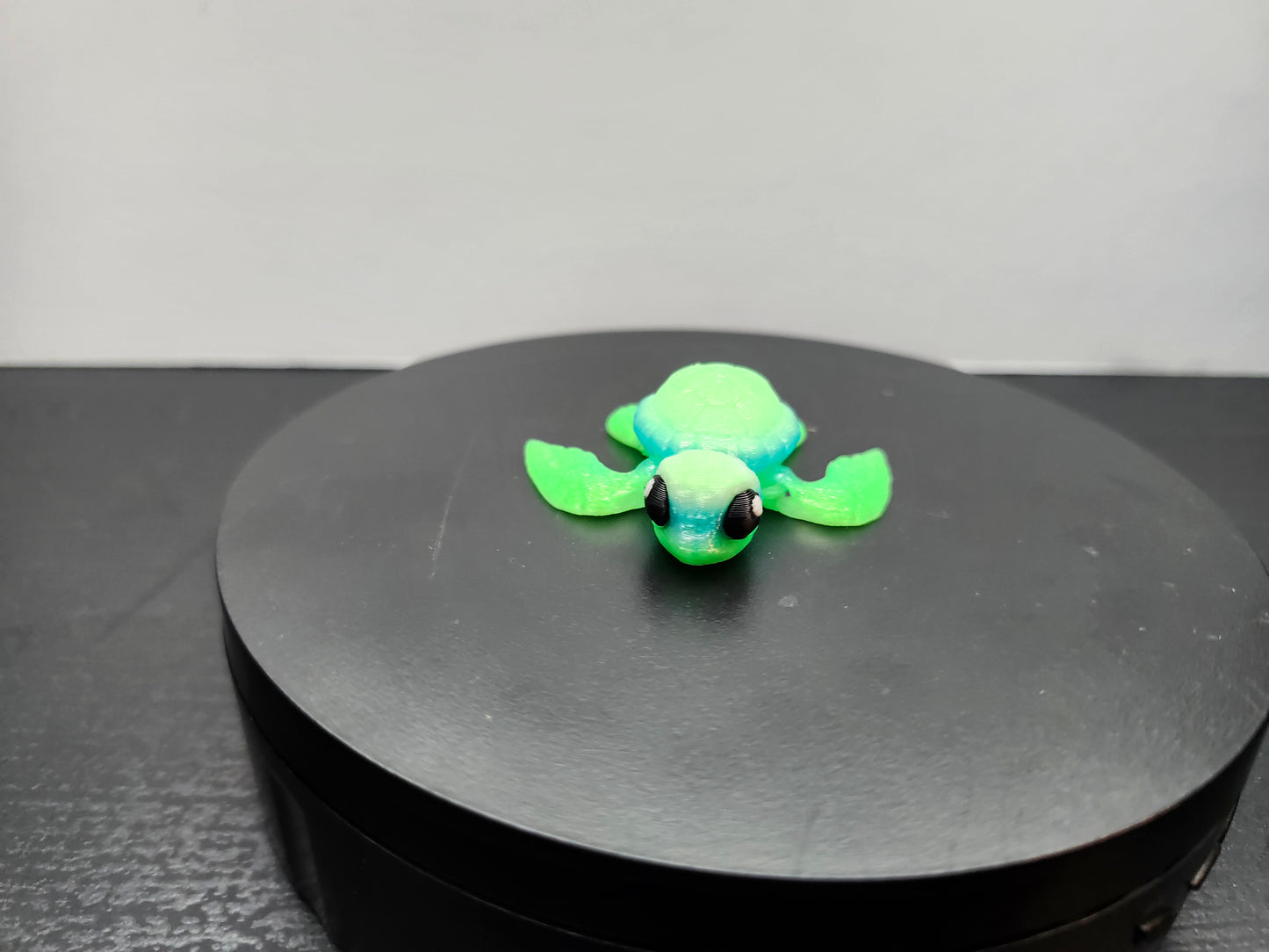 Sea Turtle