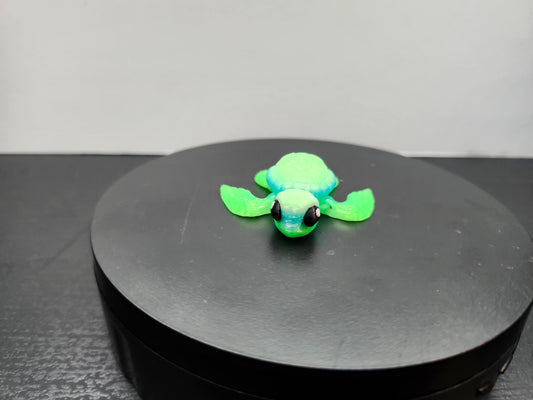 Sea Turtle