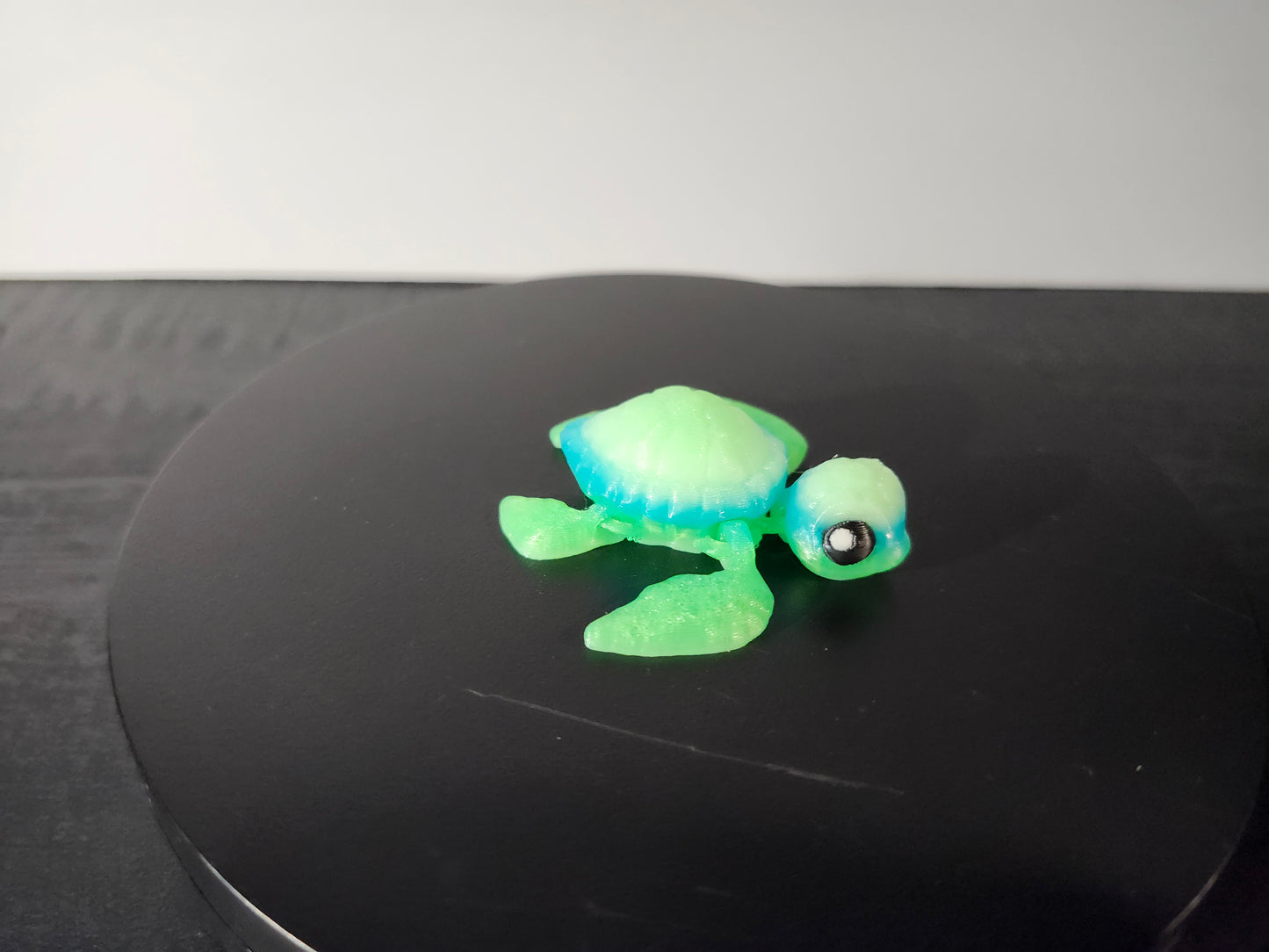 Sea Turtle