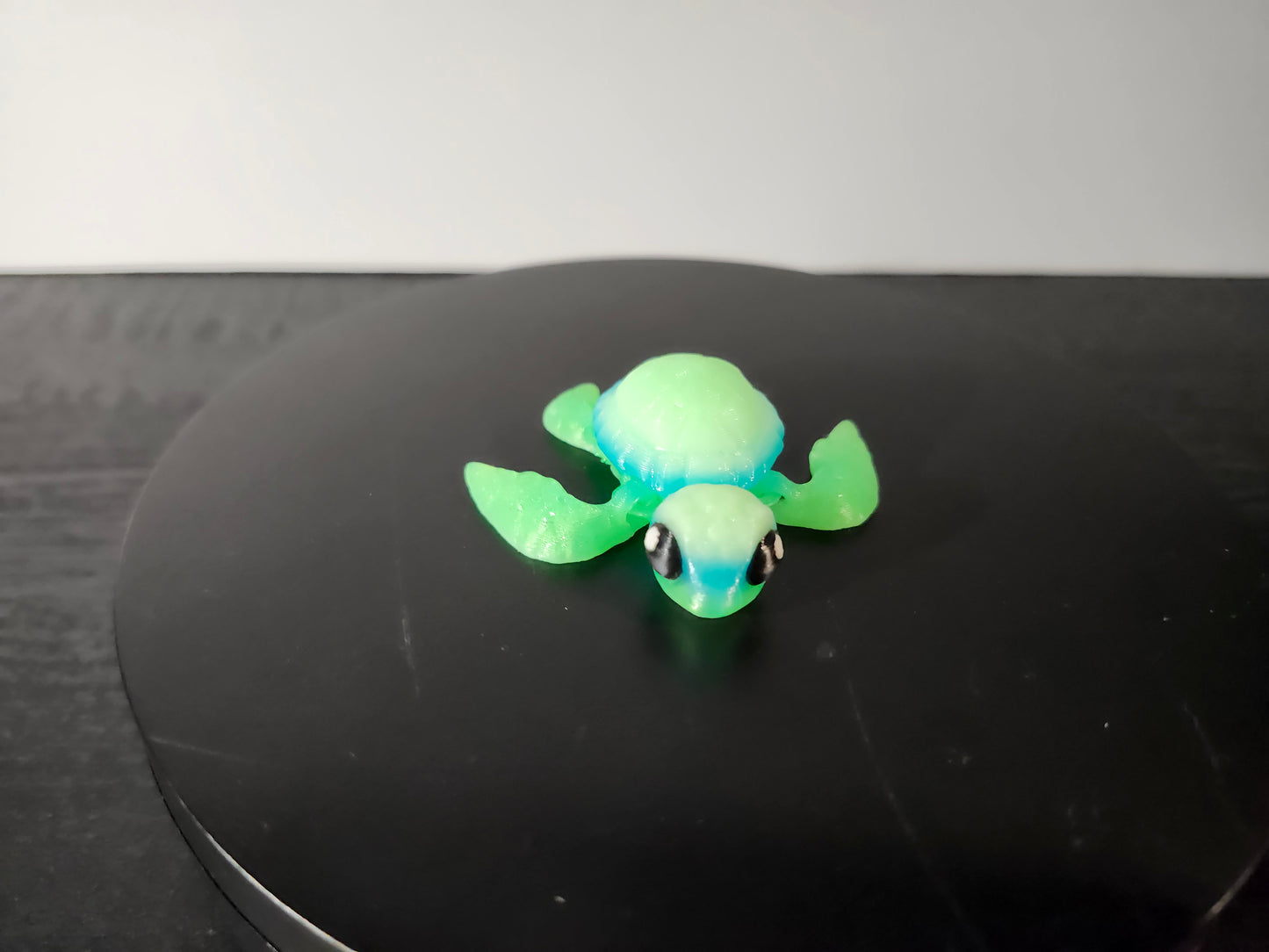 Sea Turtle