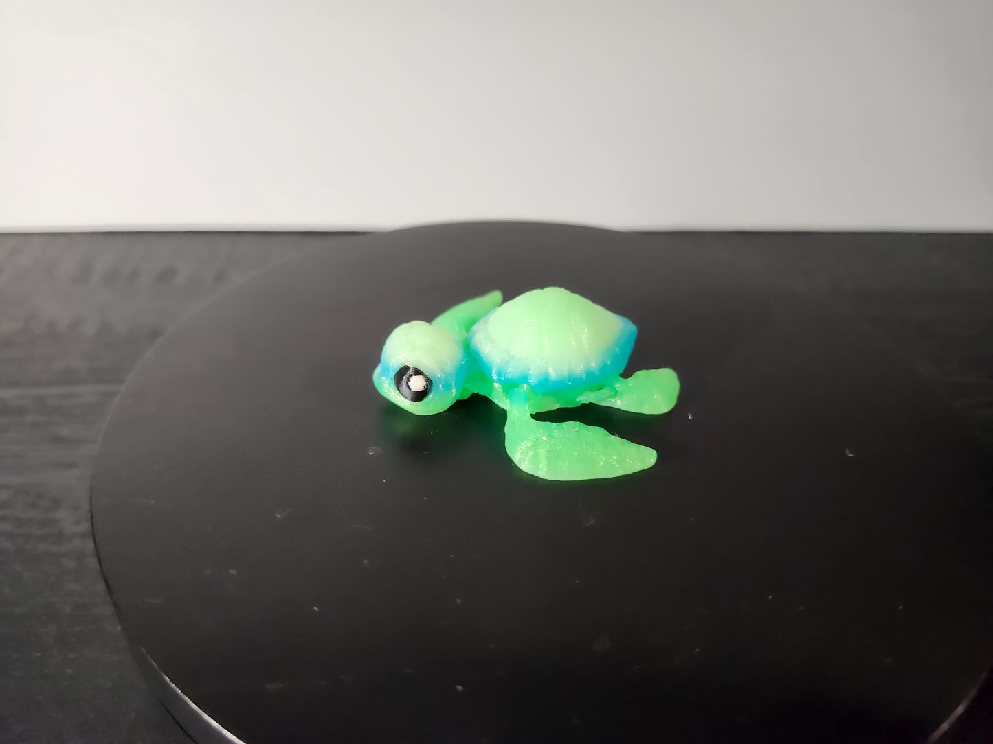 Sea Turtle