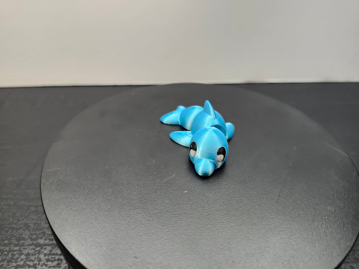 Dolphin