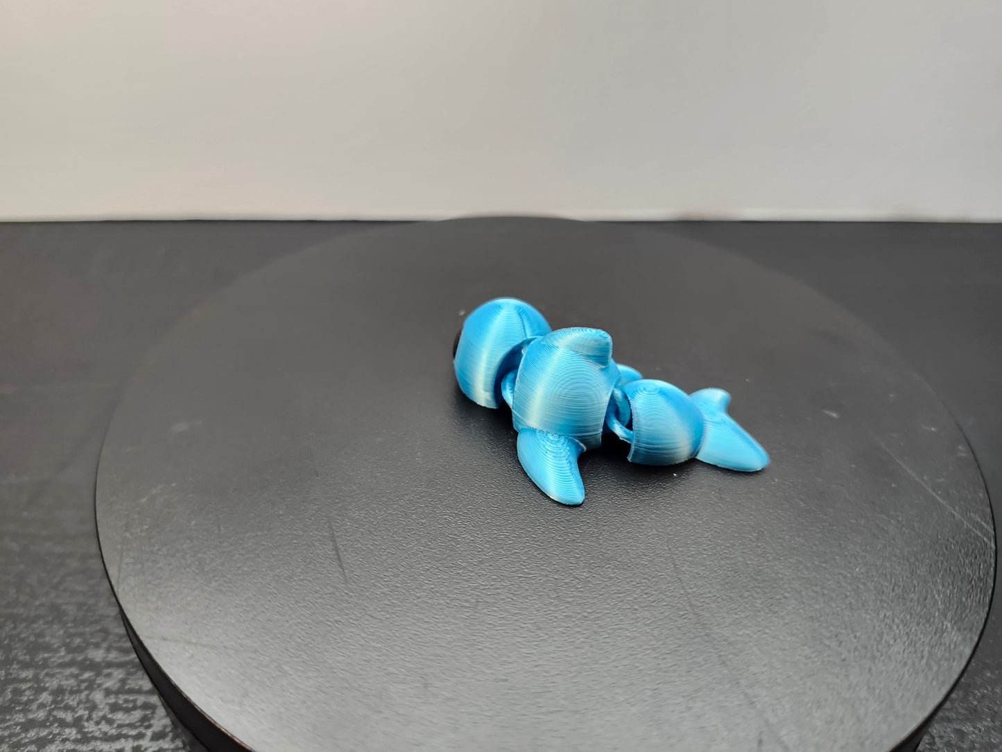 Dolphin