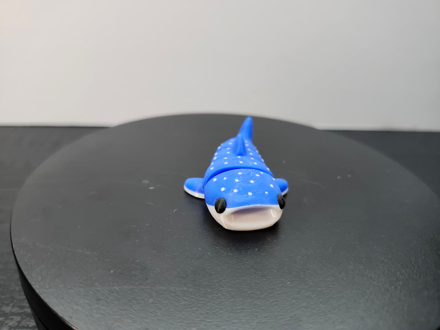 Whale Shark
