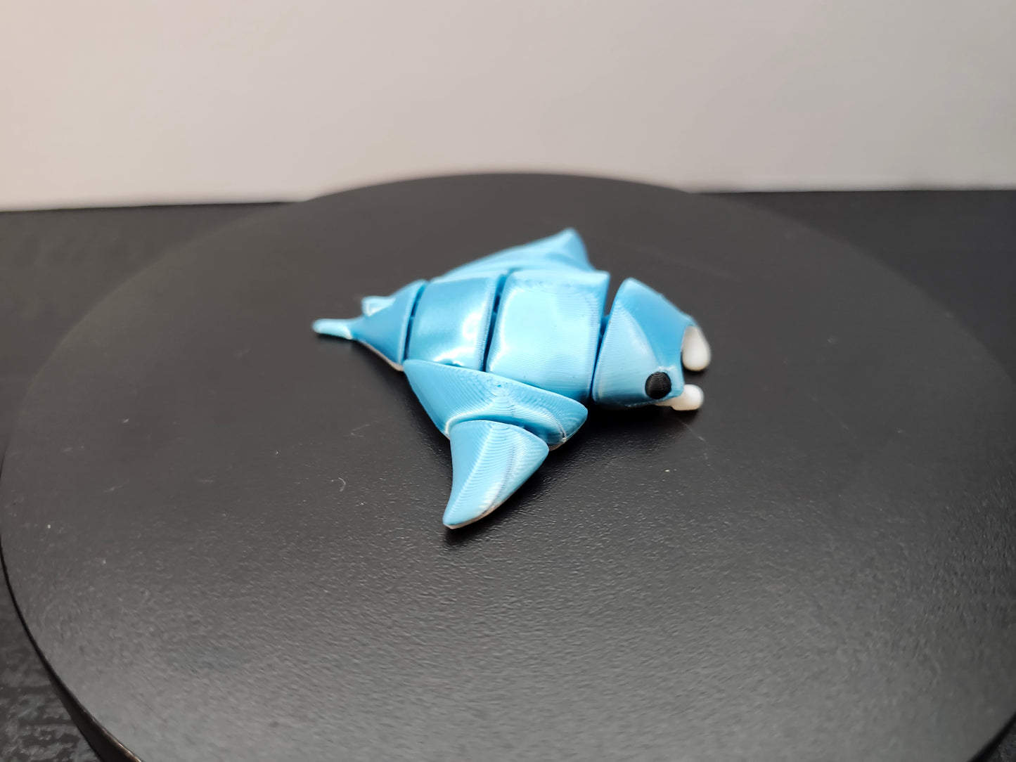 Manta Ray