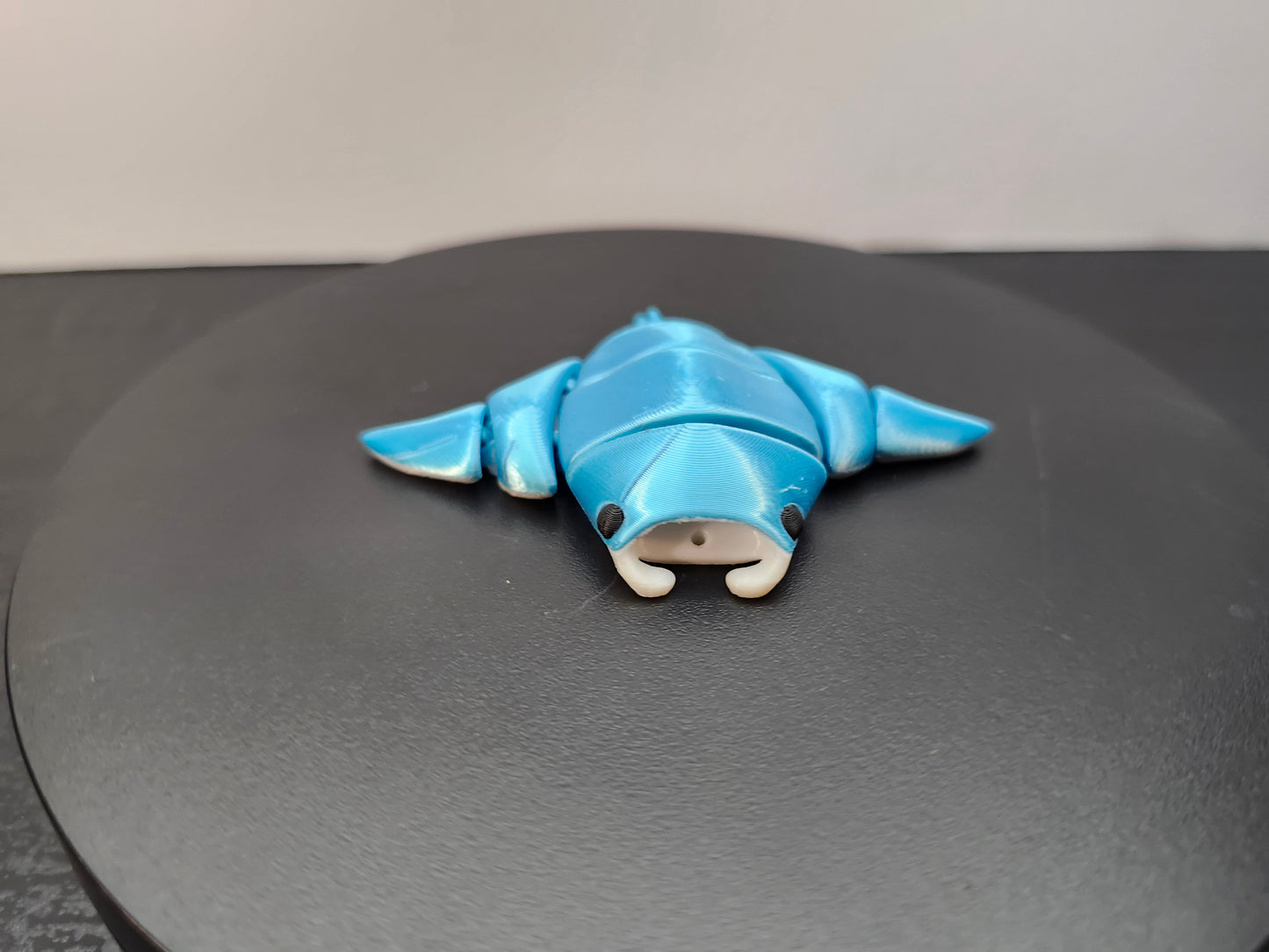 Manta Ray