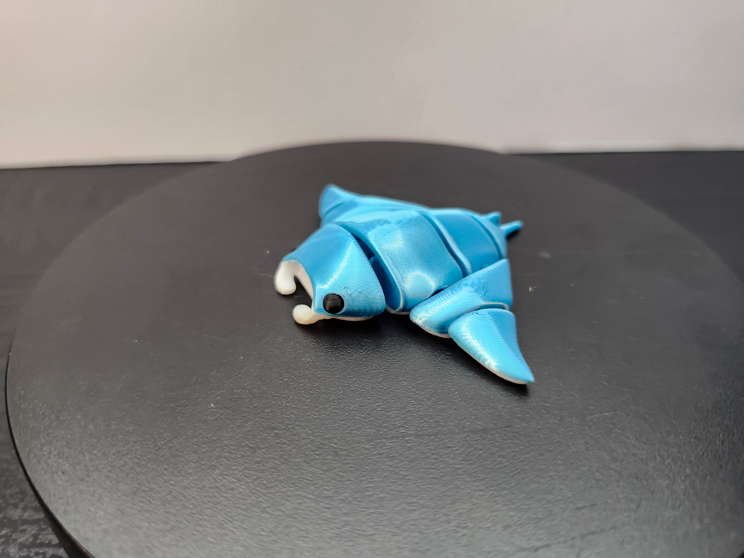 Manta Ray