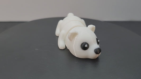 Polar Bear
