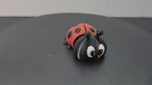 Lady Bug
