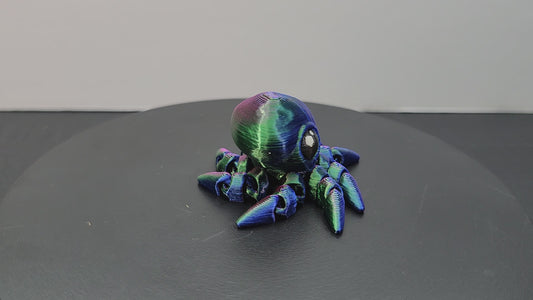 Octopus