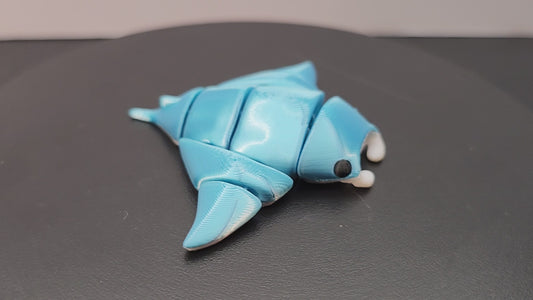 Manta Ray